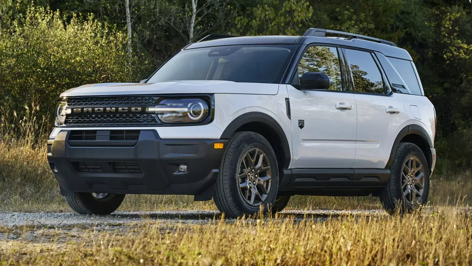 Ford Bronco 2026 Bronco changes? 1760476039802-1o