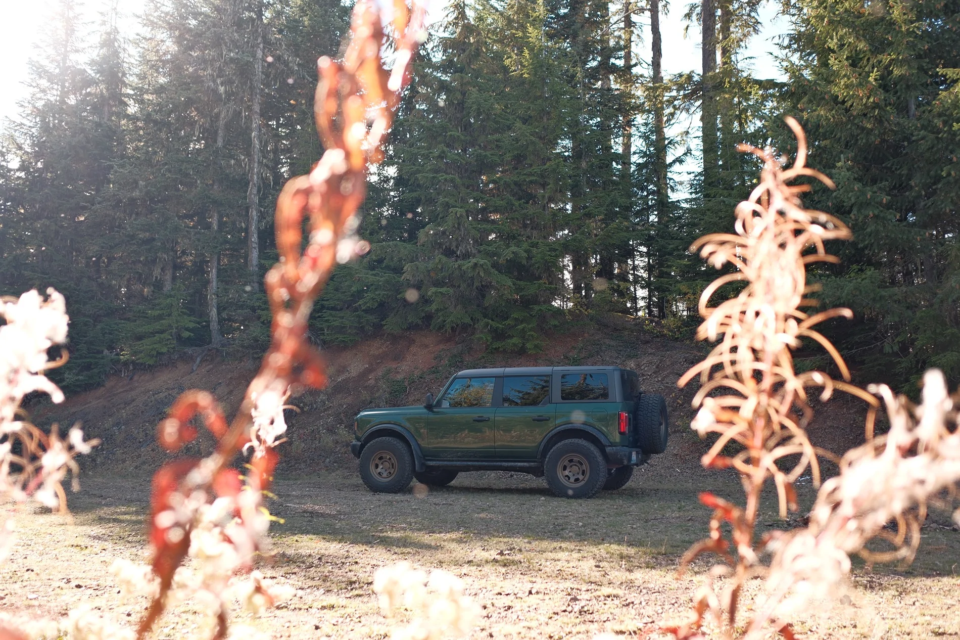 Ford Bronco Fall in the Northwest 🍂 📸 DSCF3891 (1)