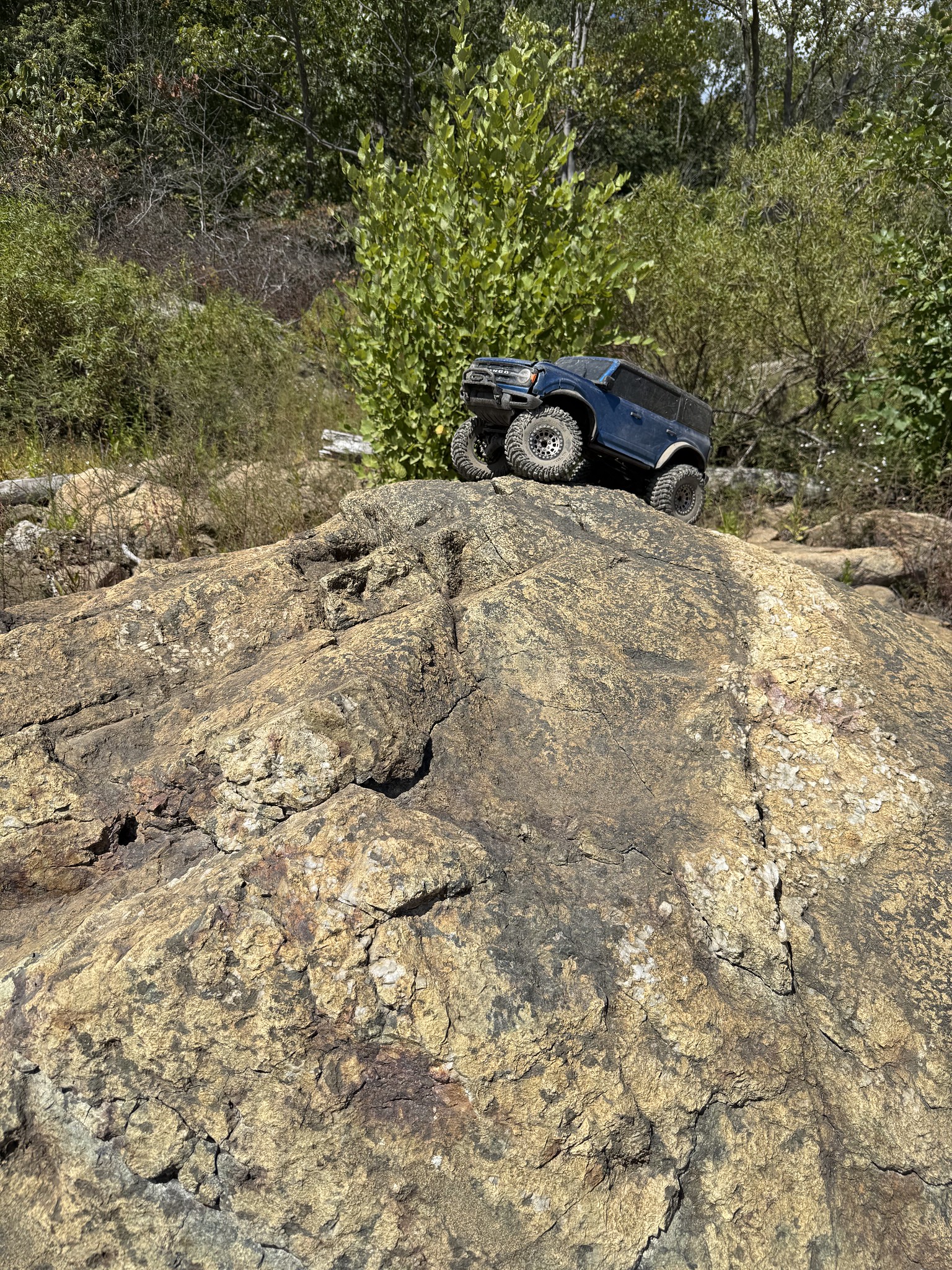 Ford Bronco IM A HORSE - Definitely not a build. 54757782964_a67b927c71_k