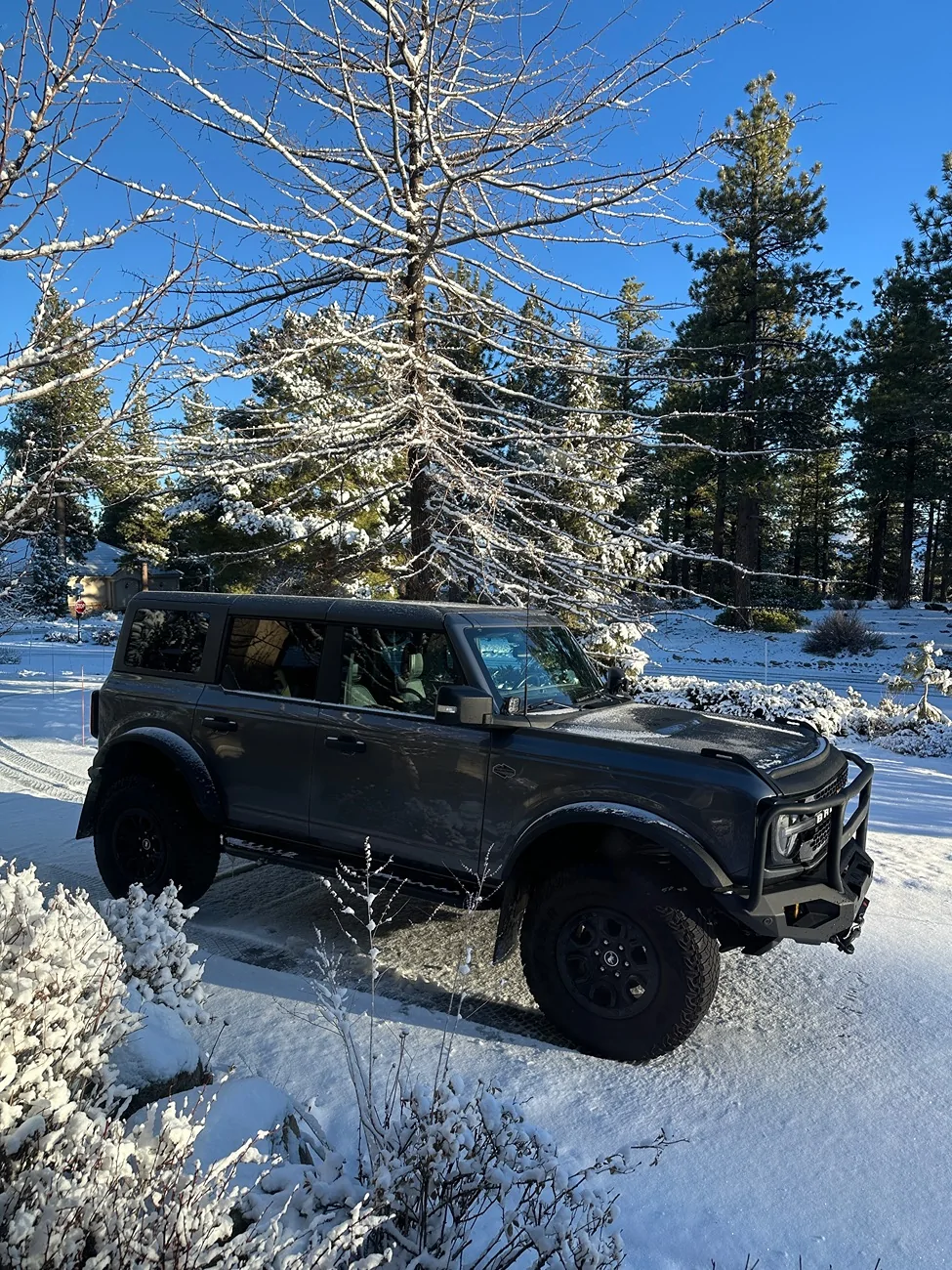 Ford Bronco Installed ZROADZ Steps / Sliders IMG_1989