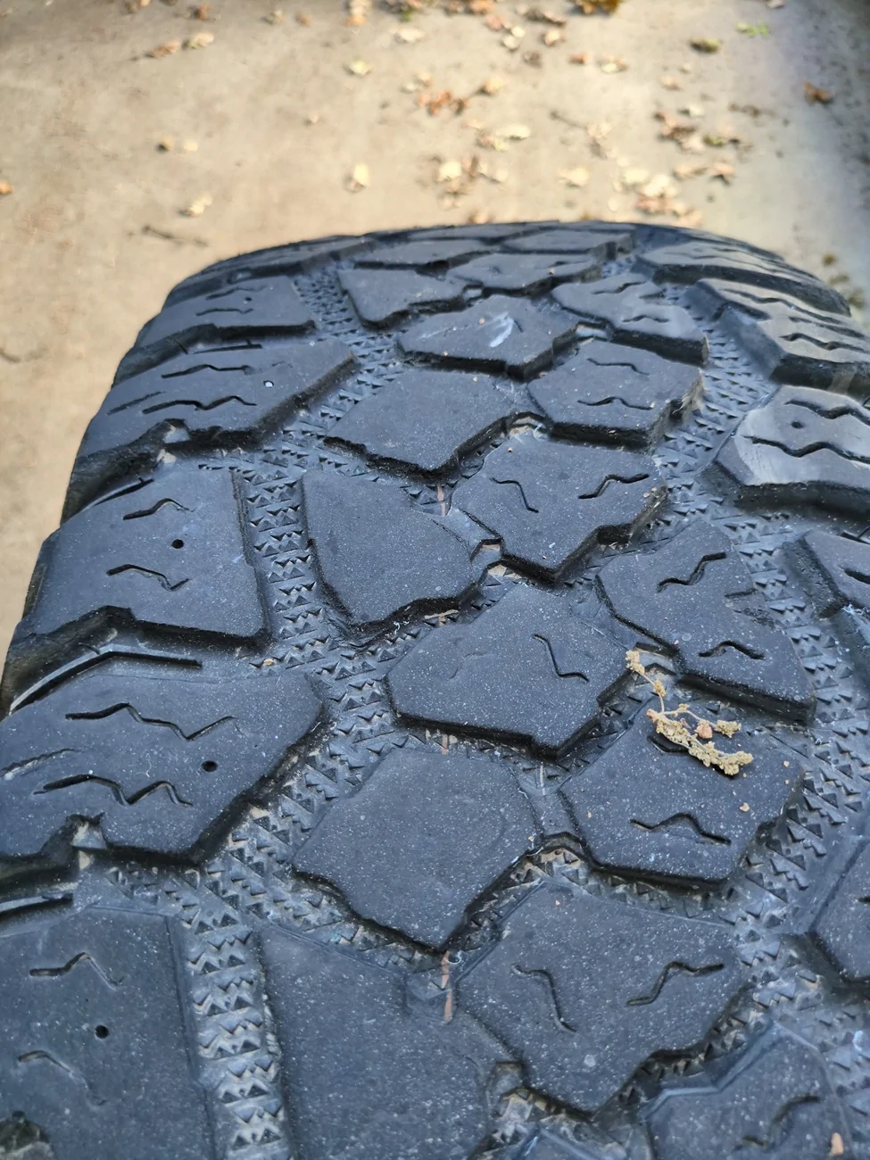 Ford Bronco WTB 37x12.5x17 Tire IMG_20251021_084209