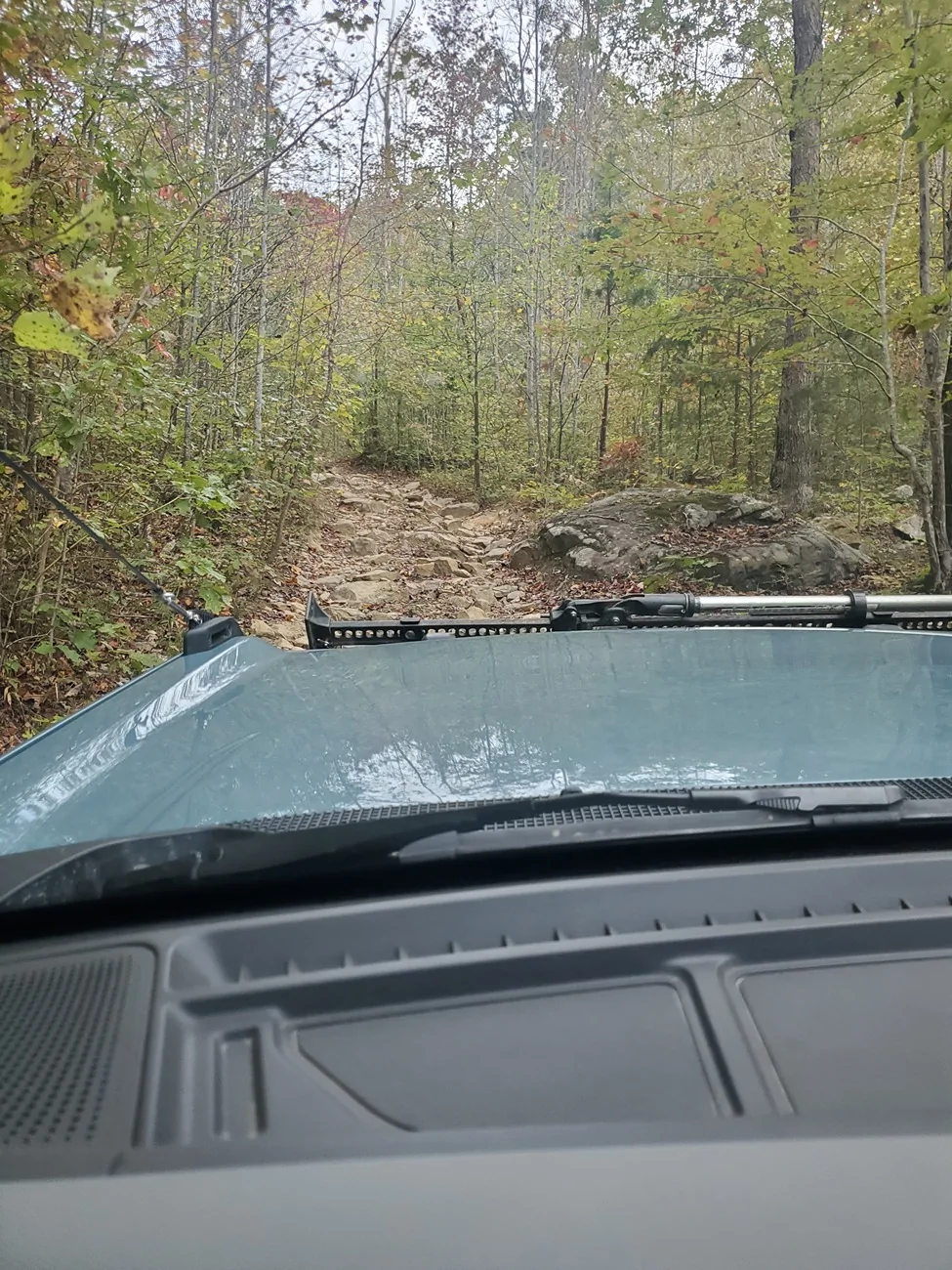 Ford Bronco Windrock Fall has fell 2025 20251025_091513