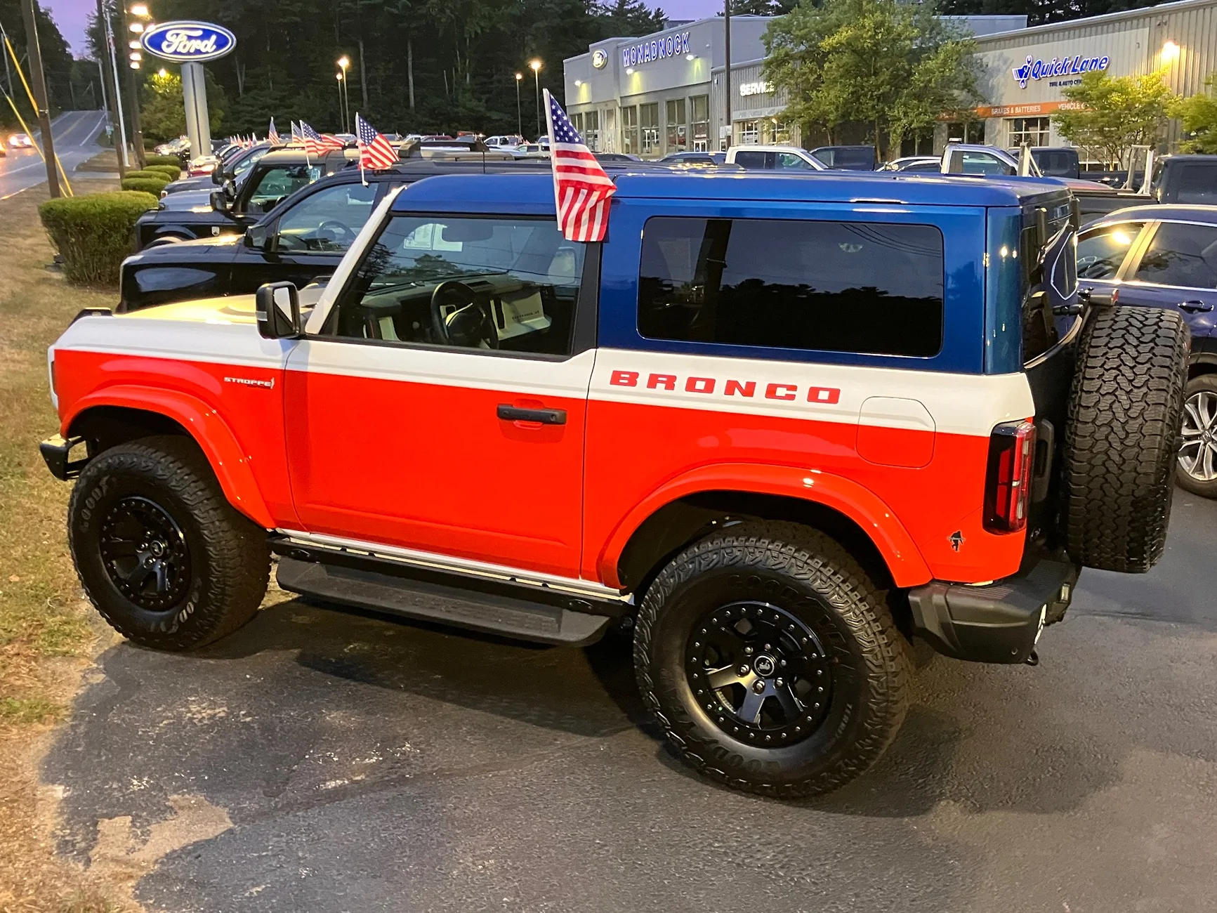 Ford Bronco Stroppe white strip below door? IMG_0320
