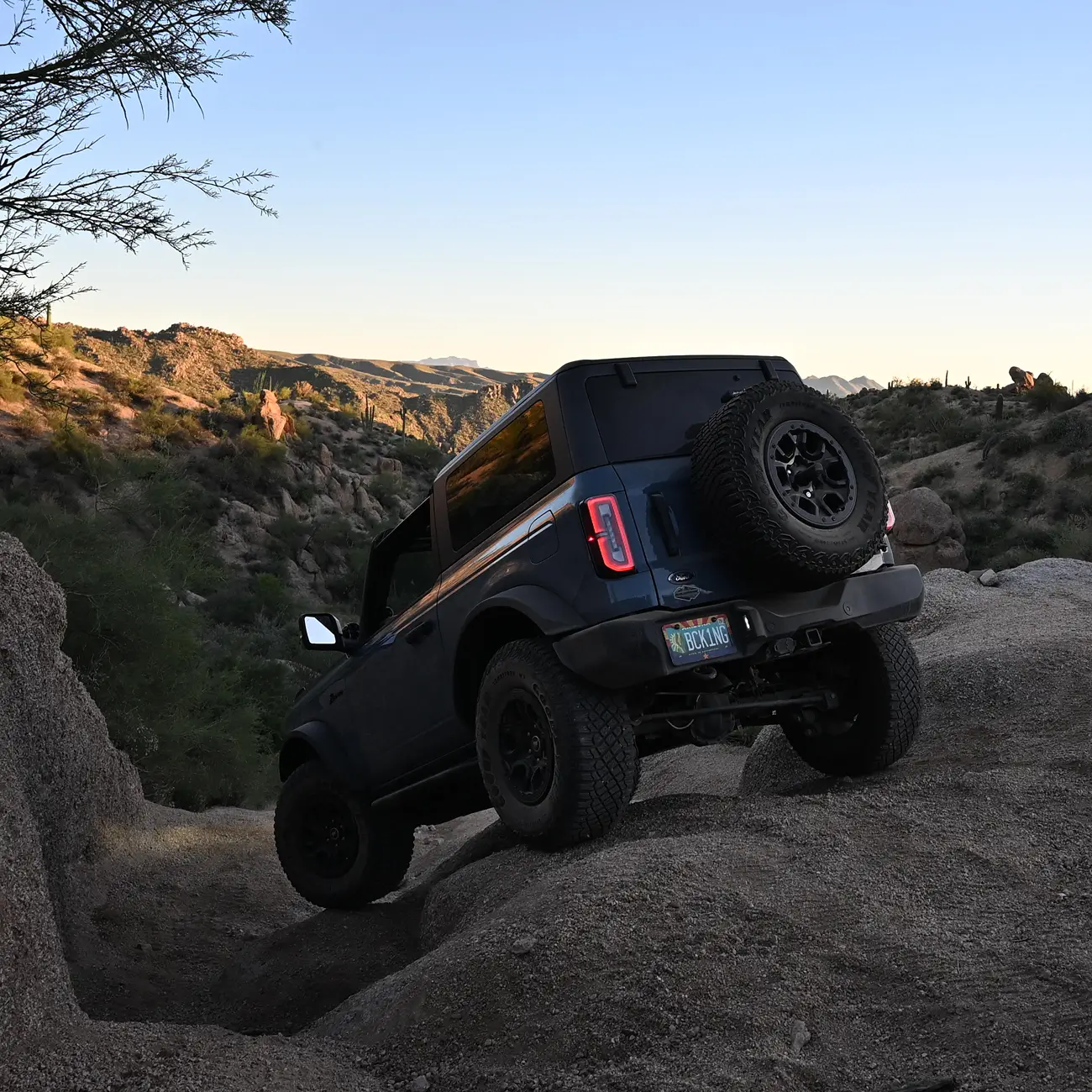 Ford Bronco Rock rails/Steps - current ones aren't good enough DSC_0191_cr
