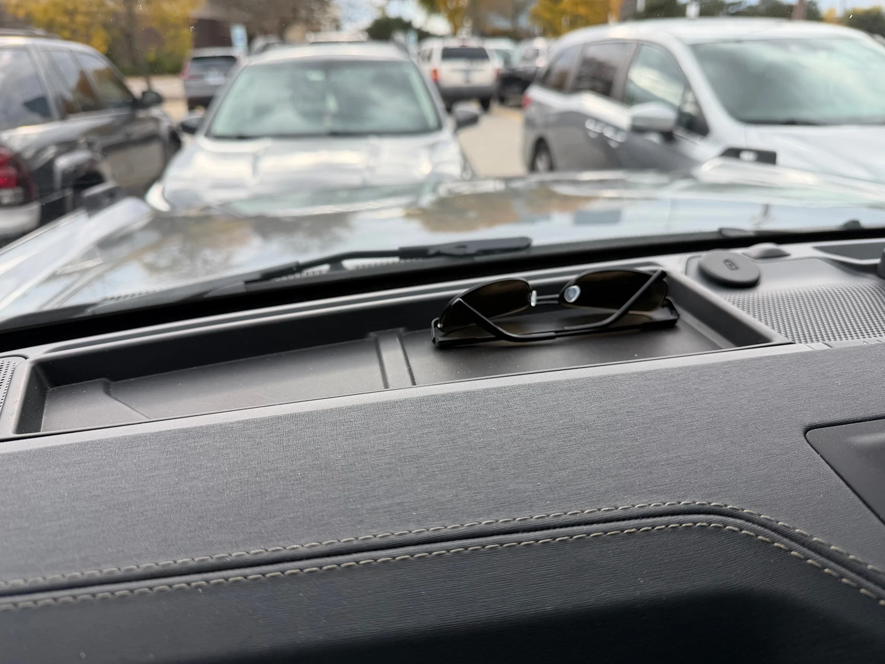 Ford Bronco Sunglass Holder? IMG_0437