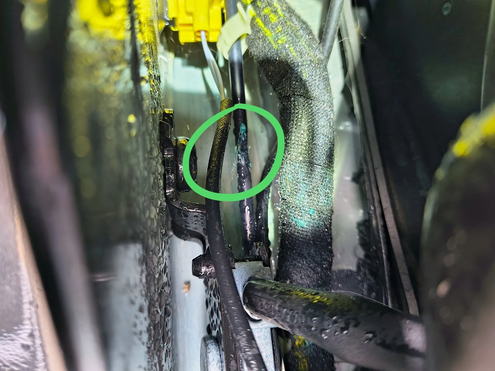Ford Bronco Washer Fluid Leak - Front Wheel Well [2021 4 Dr Badlands] IMG_3947