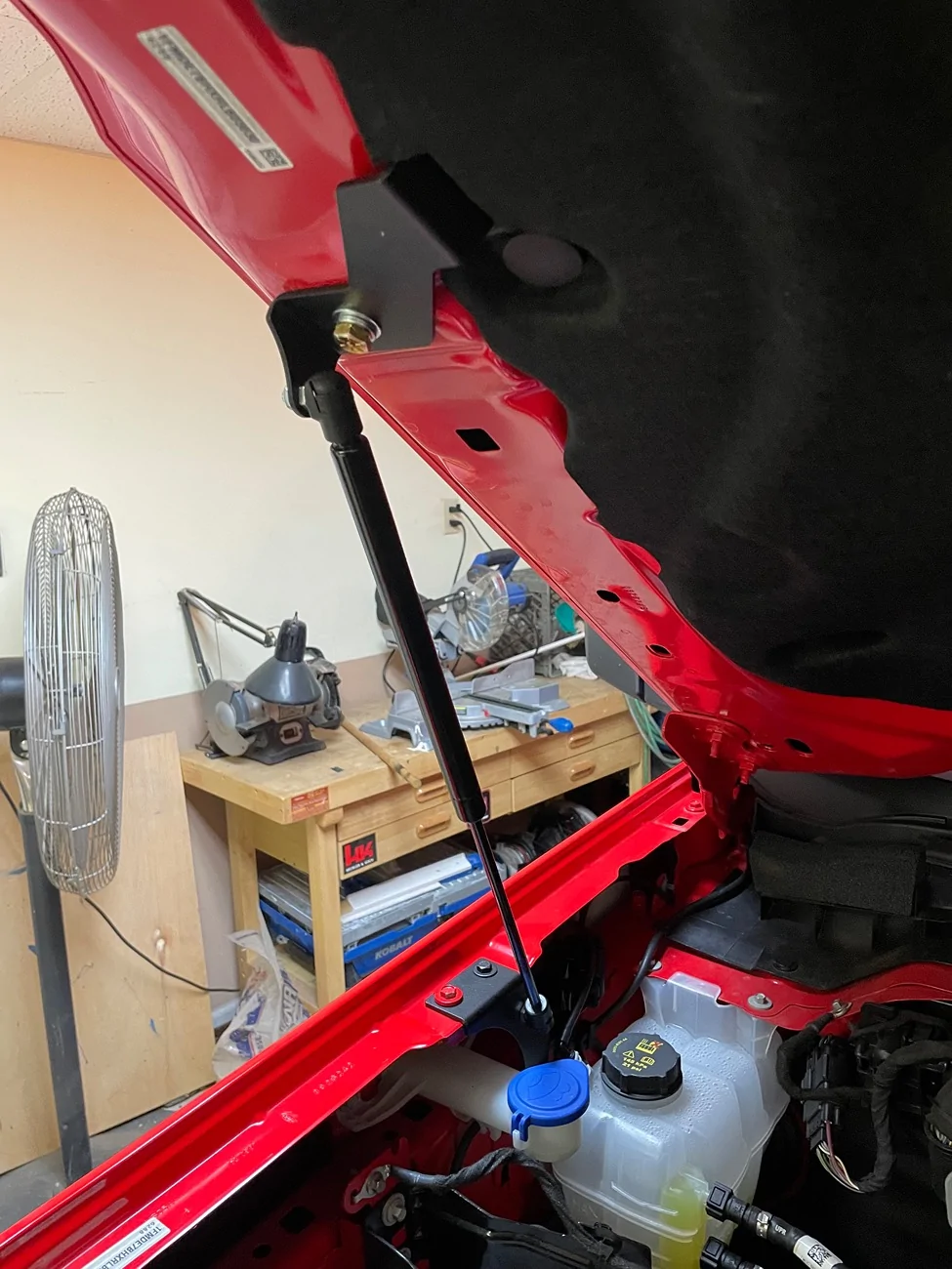 Ford Bronco Hood lift, struts. IMG_2243