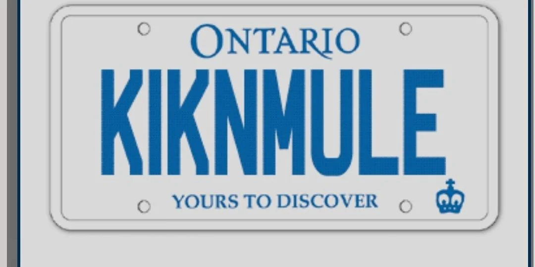 Ford Bronco Custom vanity license plate for Bronco? Screenshot_20210110-071701_Edg