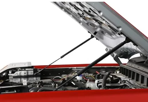 Ford Bronco Hood lift, struts. 1762142358547-yh