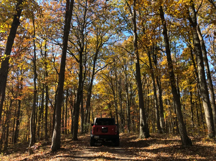 Ford Bronco Autumn colors & Bronco - Post them up! Screenshot 2025-11-03 7.56.51 PM