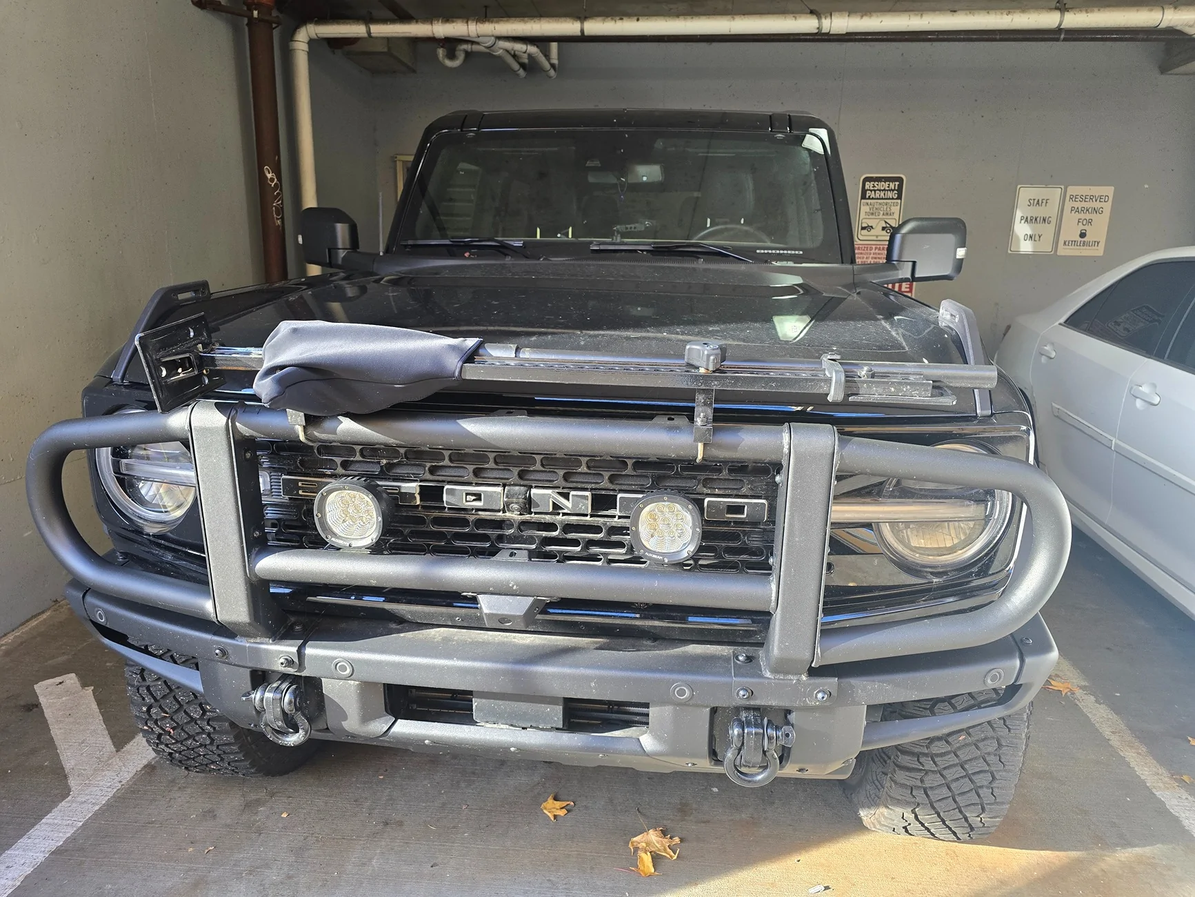 Ford Bronco Looking for a Brush Guad 1000017042