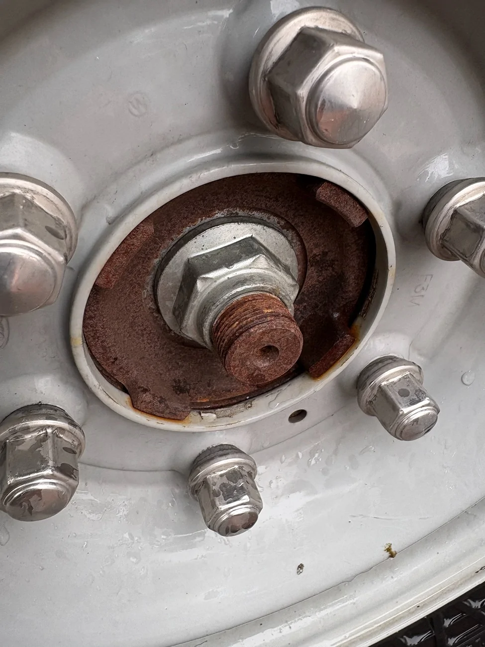 Ford Bronco Front Axle Caps IMG_5102000