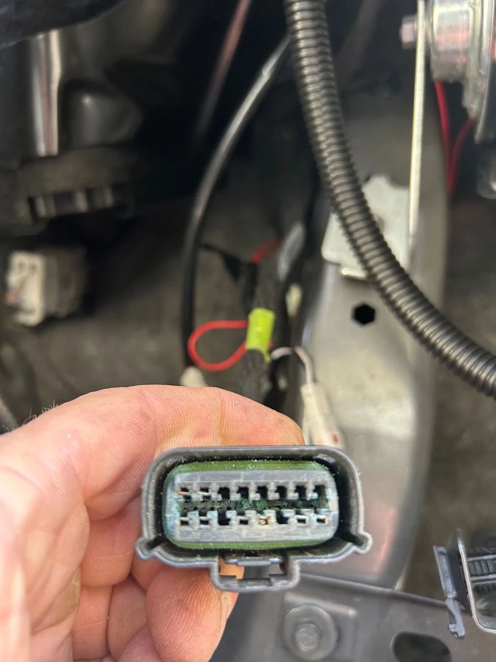 Ford Bronco Alpharex headlight issue IMG_8359