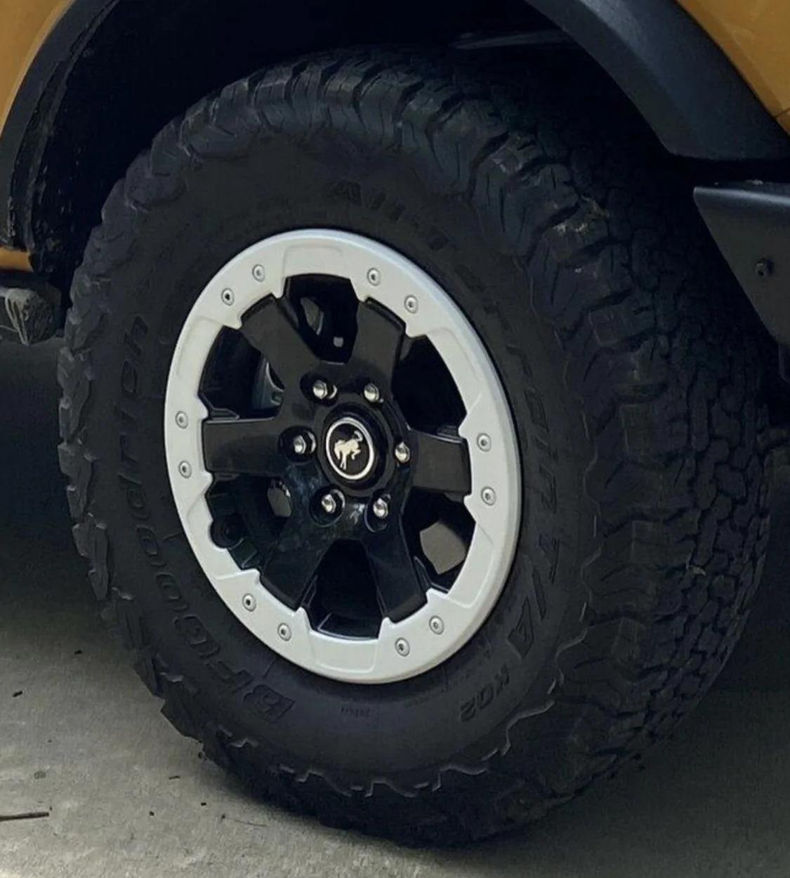 Ford Bronco Stripped and Polished Stock Wheels IMG_9631