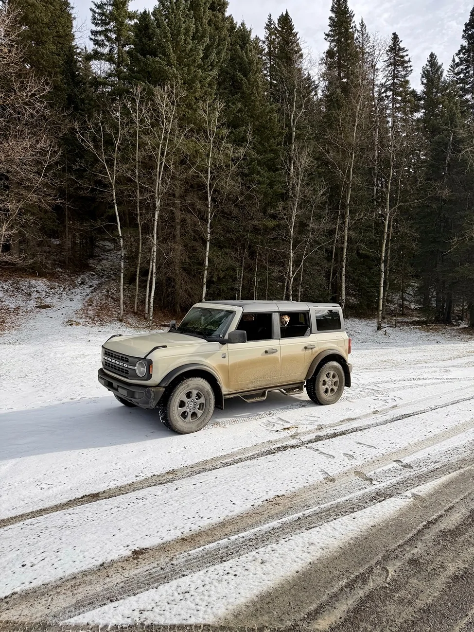 Ford Bronco Alberta Trail Journal - Day Trips and Overlanding Reports IMG_0692