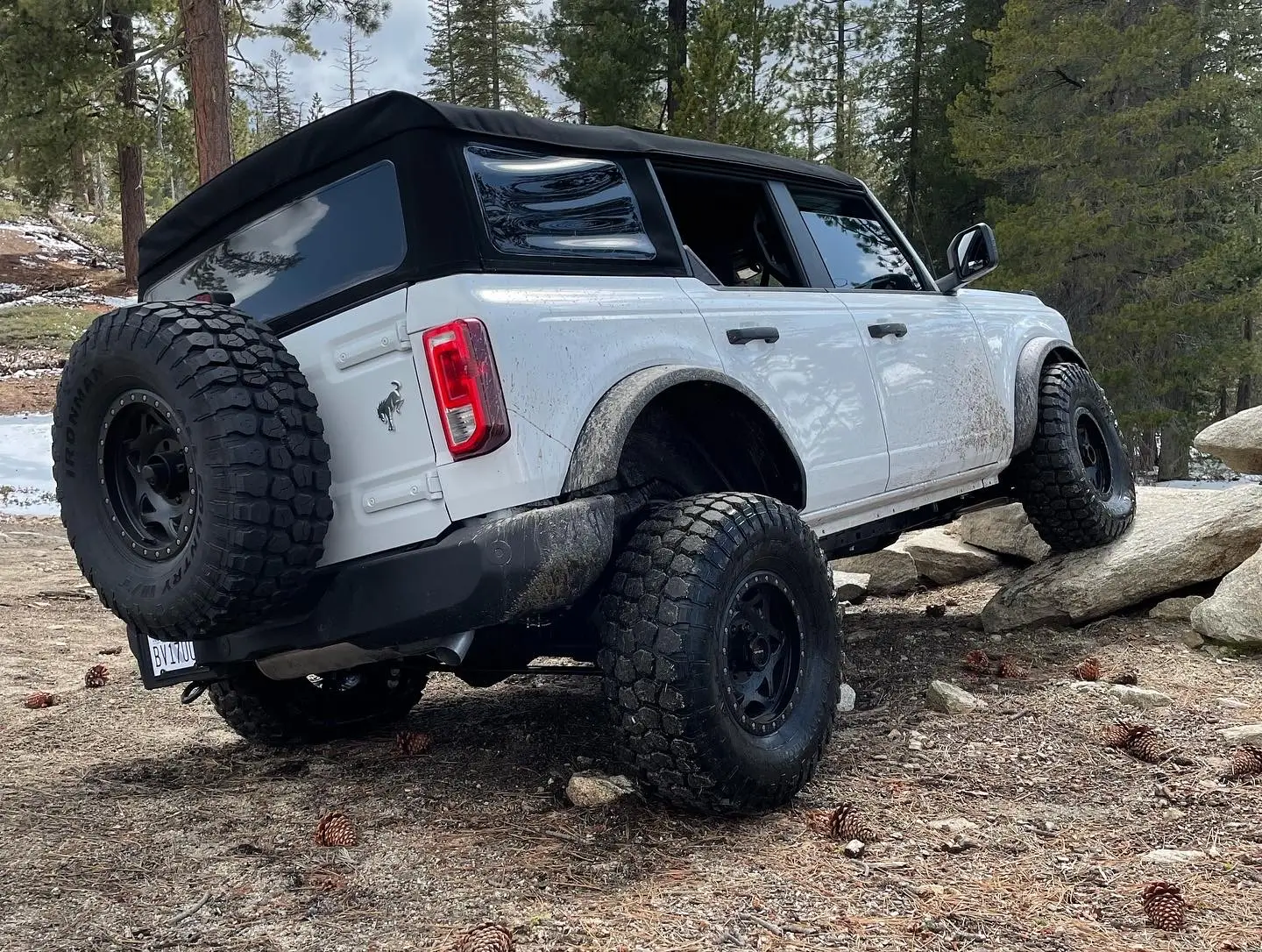 Ford Bronco Adventures of Yeti (Big Bend Build) 1764090787221-5z