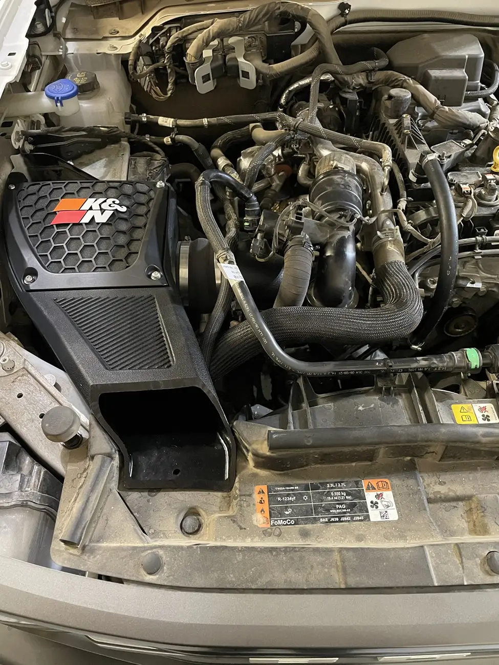 Ford Bronco Adventures of Yeti (Big Bend Build) 1764092189413-uo