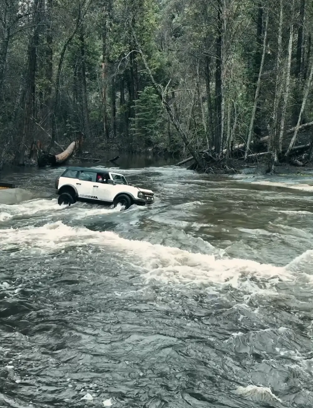 Ford Bronco Adventures of Yeti (Big Bend Build) 1764093292913-lj