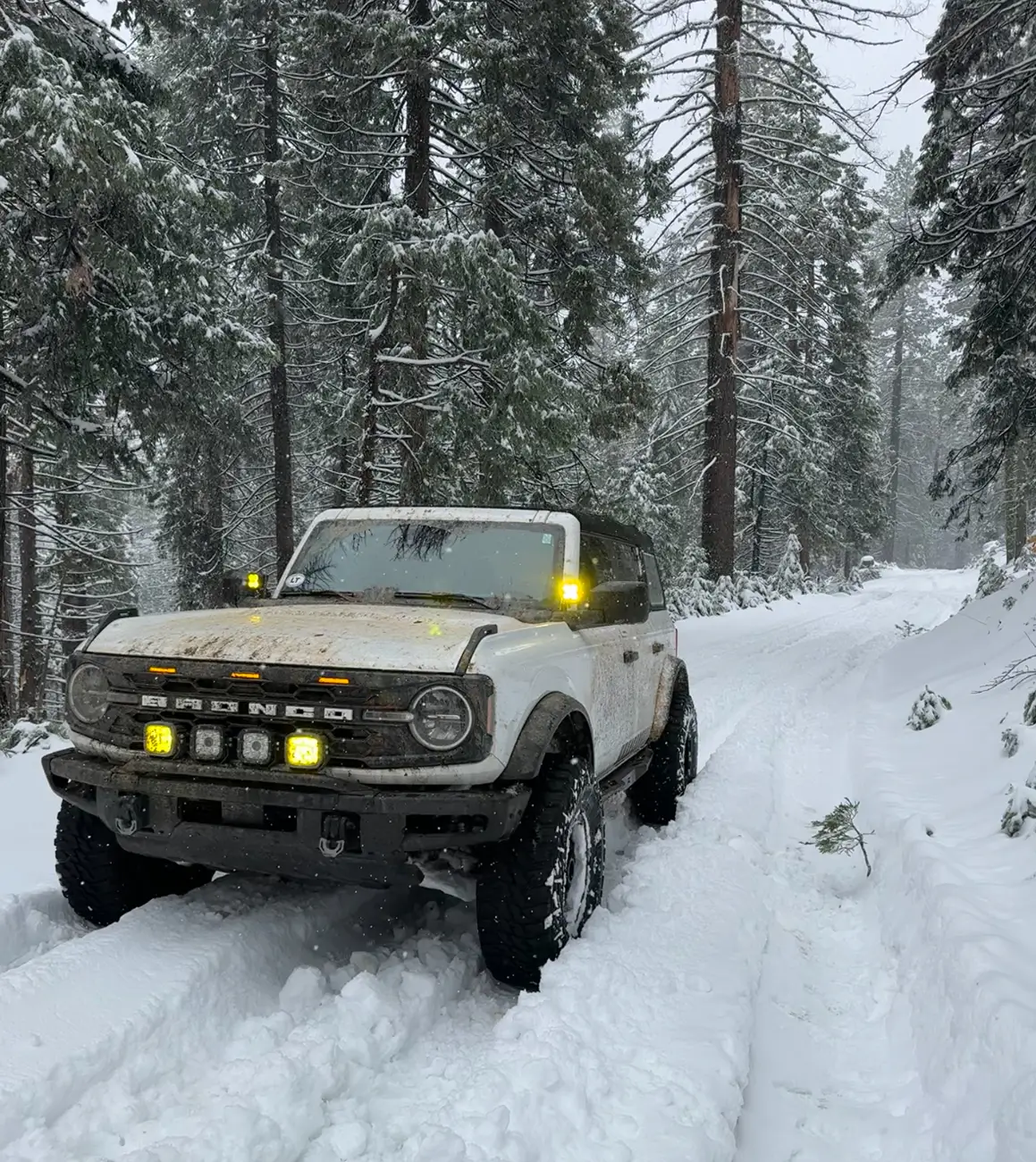 Ford Bronco Adventures of Yeti (Big Bend Build) 1764093338661-4m