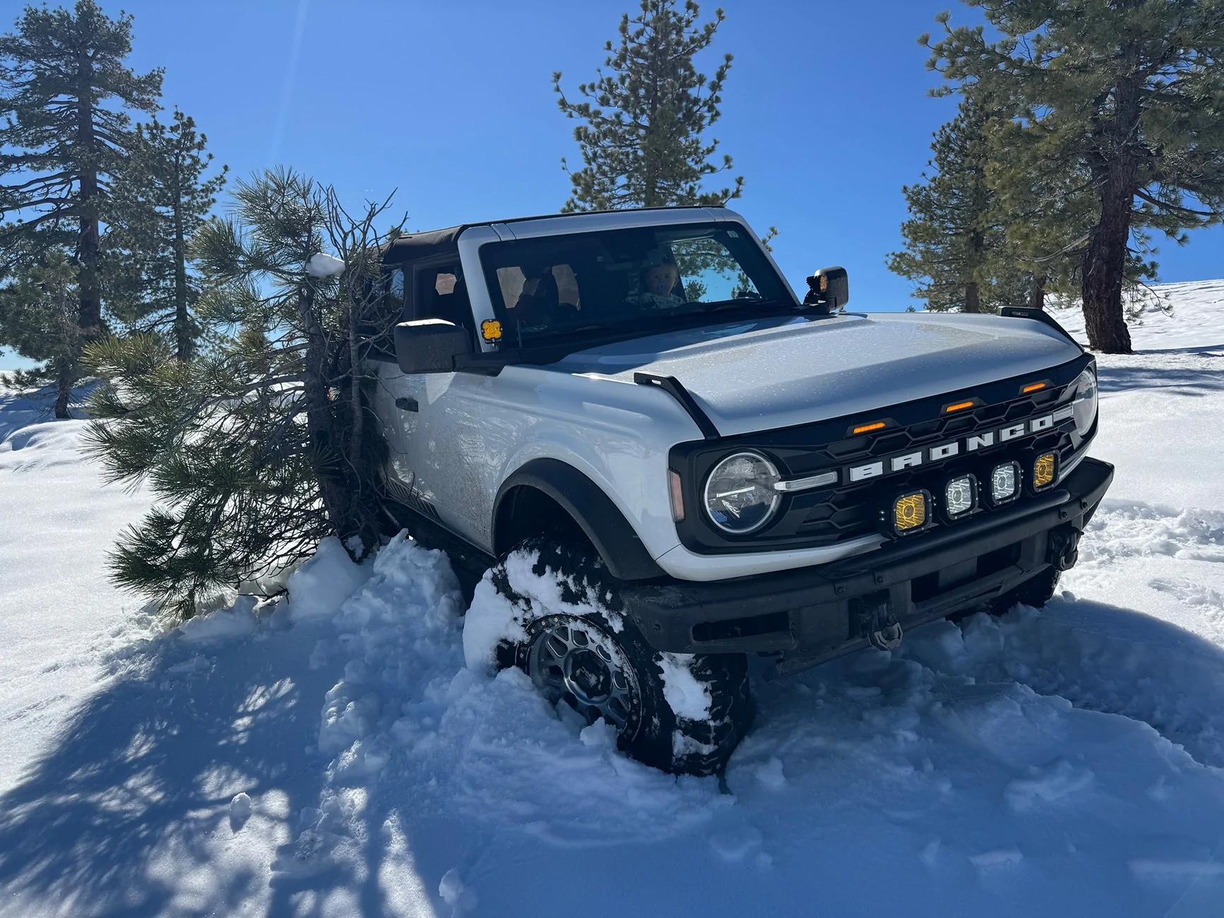 Ford Bronco Adventures of Yeti (Big Bend Build) IMG_5762