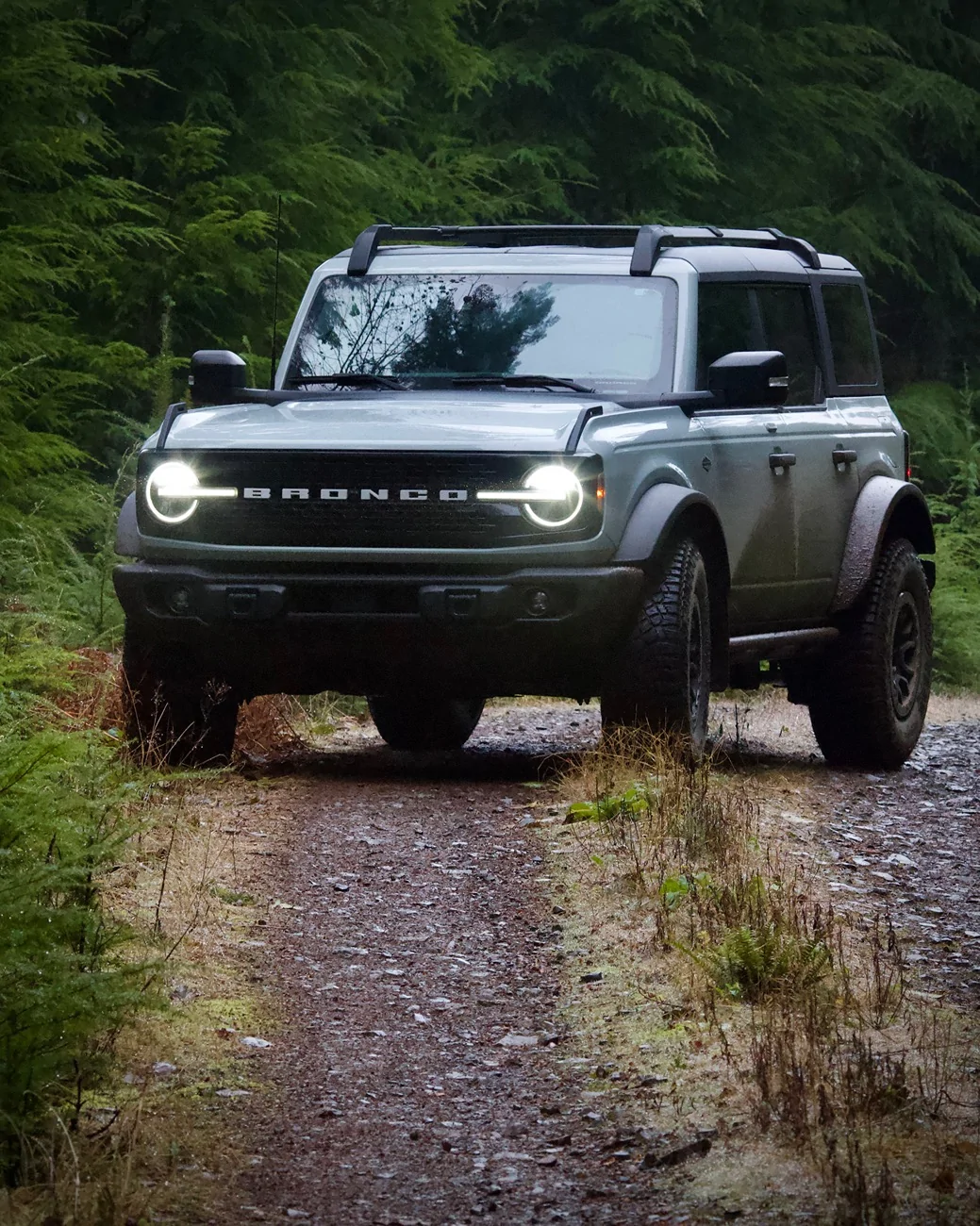 Ford Bronco Black Friday | PNW Forest Escape IMG_0704