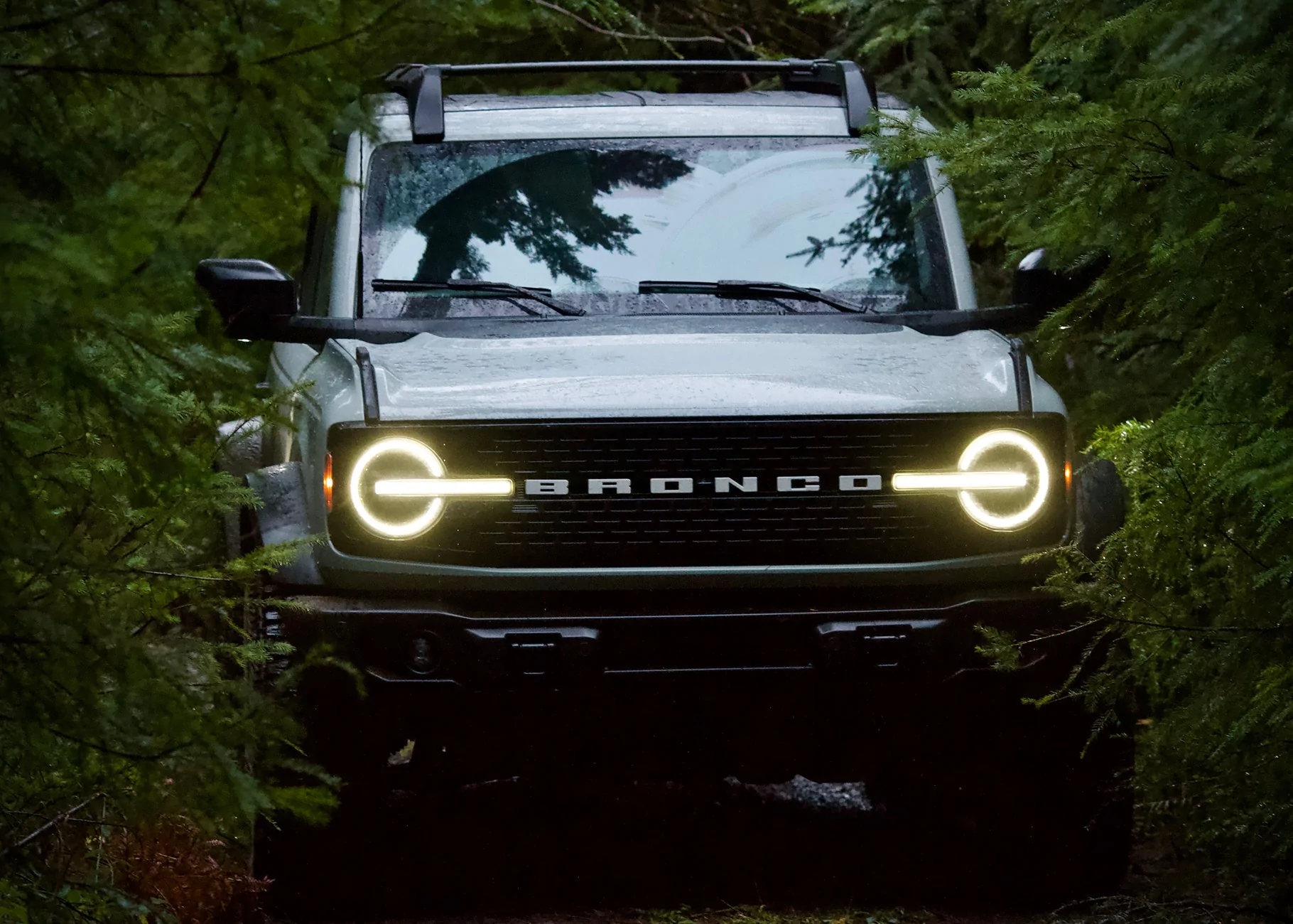 Ford Bronco Black Friday | PNW Forest Escape IMG_0732