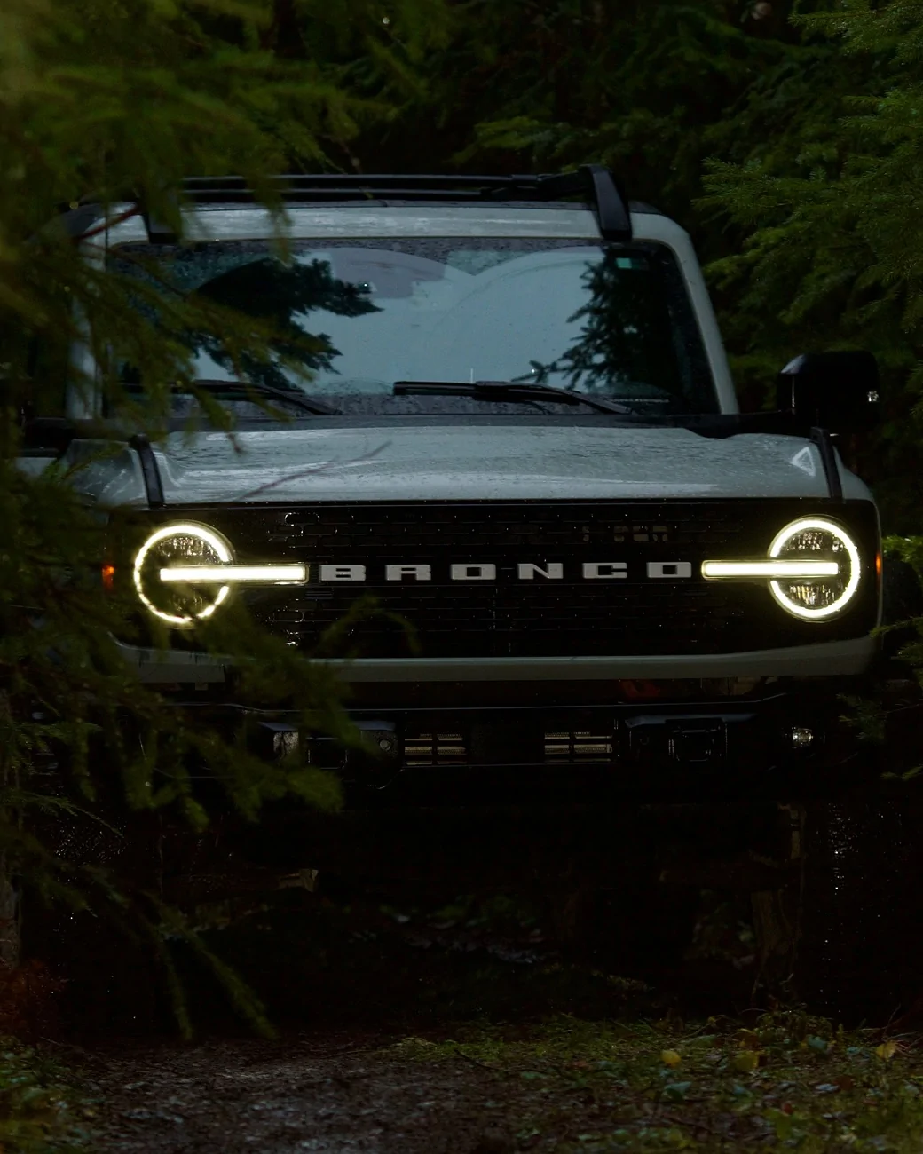 Ford Bronco Black Friday | PNW Forest Escape IMG_0741