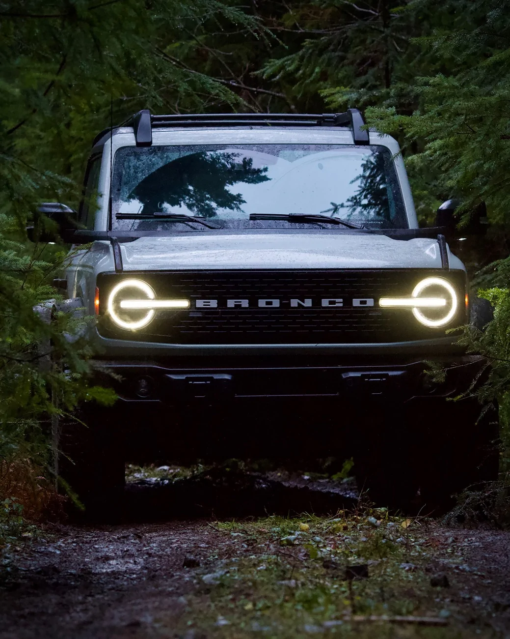 Ford Bronco Black Friday | PNW Forest Escape IMG_0735