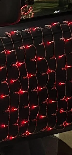 Ford Bronco Am I doing this holiday thing right? Bronco holiday lights s-cups