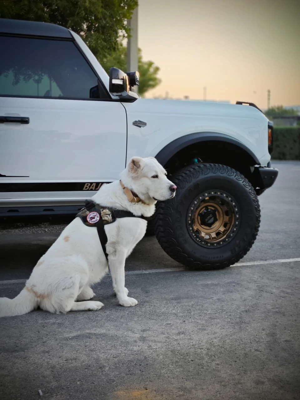 Ford Bronco Show us your installed wheel / tire upgrades here! (Pics) WhatsApp Image 2025-12-05 at 15.27.25_020e5bf7