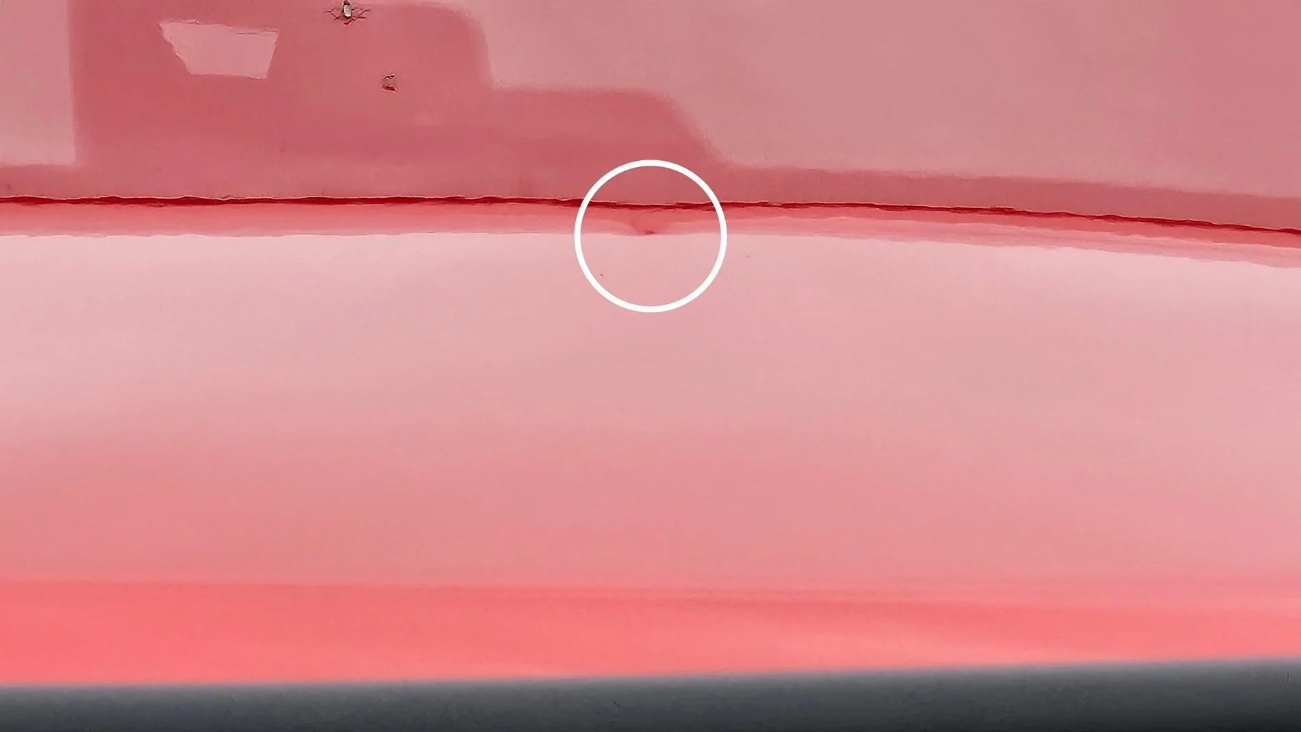 Ford Bronco Paint Issues 20241007_092915
