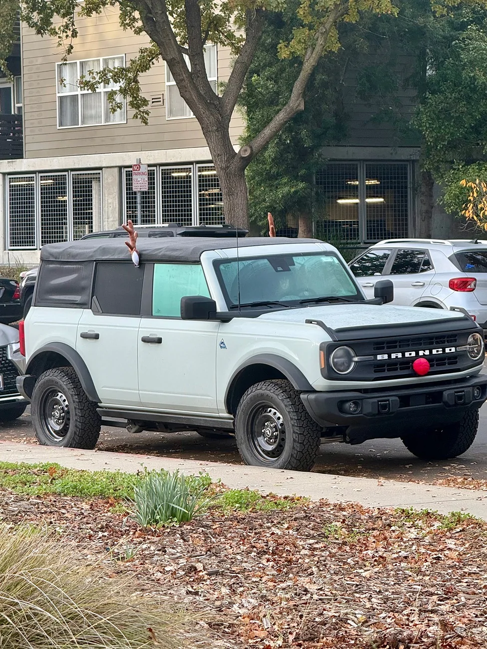 Ford Bronco Reindeer spotted!! IMG_3041