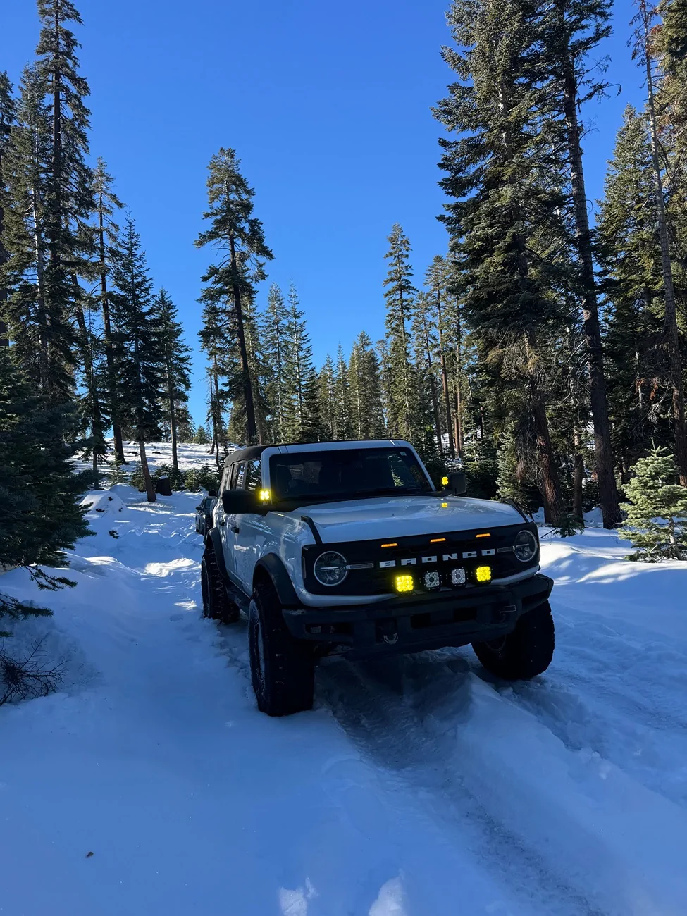 Ford Bronco Adventures of Yeti (Big Bend Build) IMG_6620