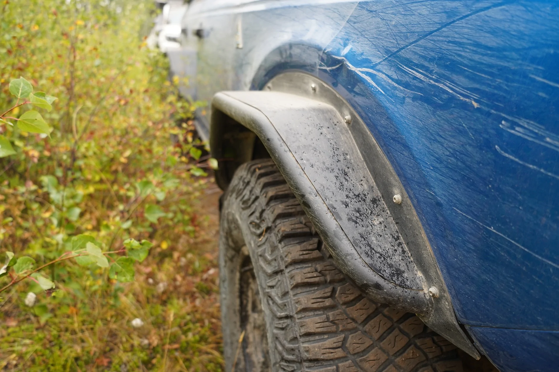 Ford Bronco Comments you received about your Bronco RH pinstriping