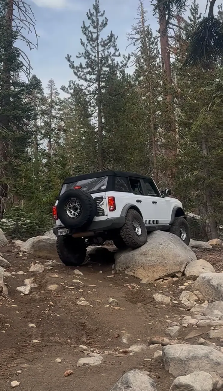 Ford Bronco Adventures of Yeti (Big Bend Build) 1765517964369-d