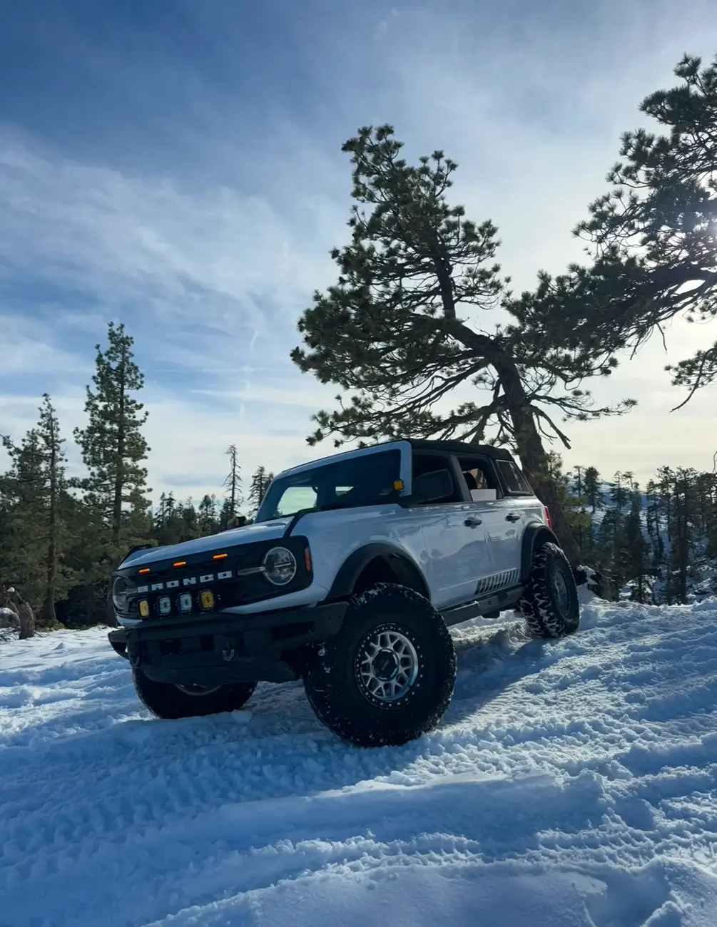 Ford Bronco Adventures of Yeti (Big Bend Build) 1765518053750-u