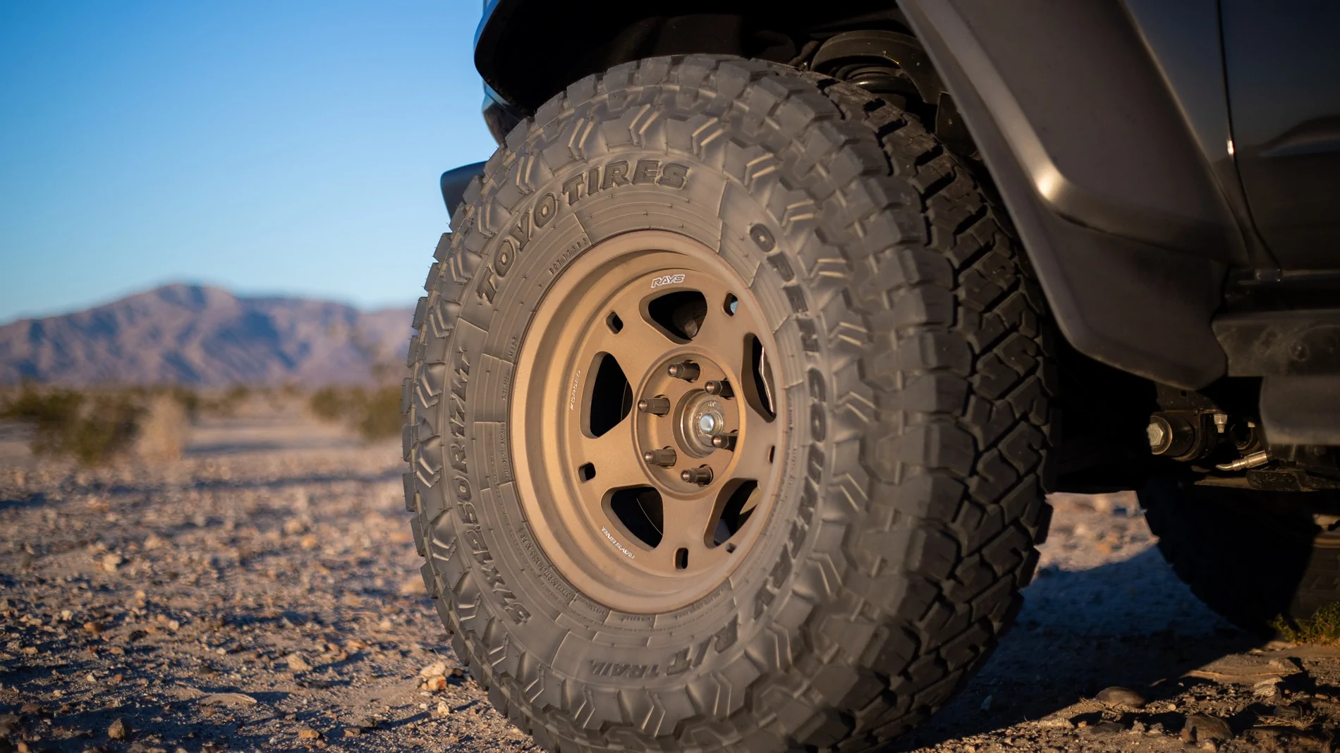 Ford Bronco Bvita's Bronco Raptor Build IMG_3699