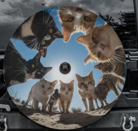 Ford Bronco Bronco spare tire cover recommendations? dumb tire cover