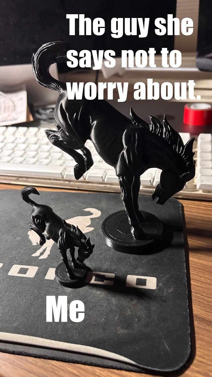 Ford Bronco Show me your 3D printed accessories. 3D Prints for Bronco Enthusiasts. hors