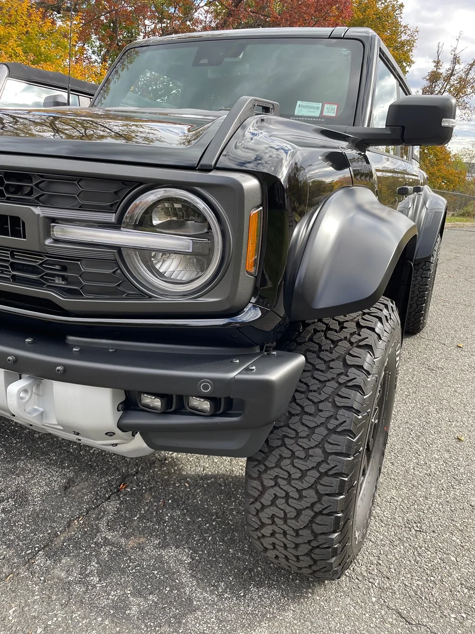 Ford Bronco Raptor Grille - flat black or metallic grey? IMG_5022