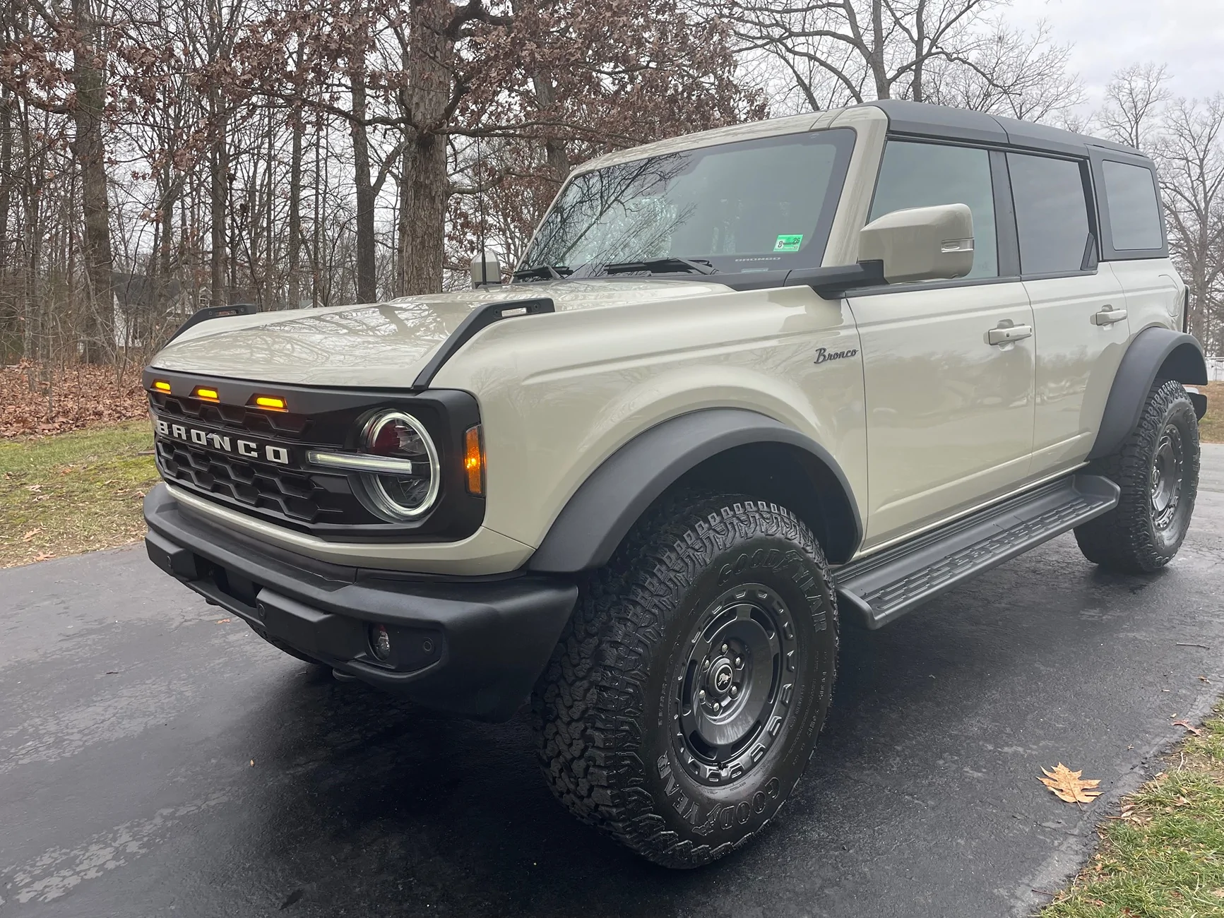 Ford Bronco IAG Para-Hex Style Front Grill - installed pics IMG_1591