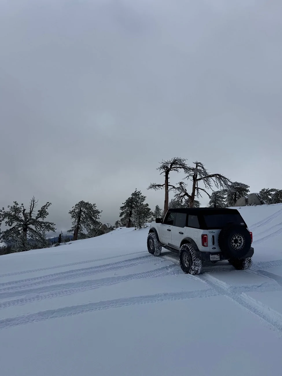 Ford Bronco Adventures of Yeti (Big Bend Build) IMG_7626