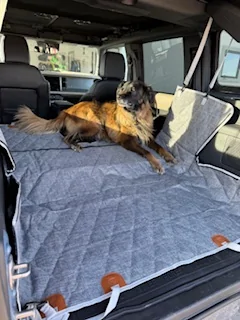 Ford Bronco 3Wliners floor mats, seat back liner, cargo area liner and pet seat cover review IMG_8746