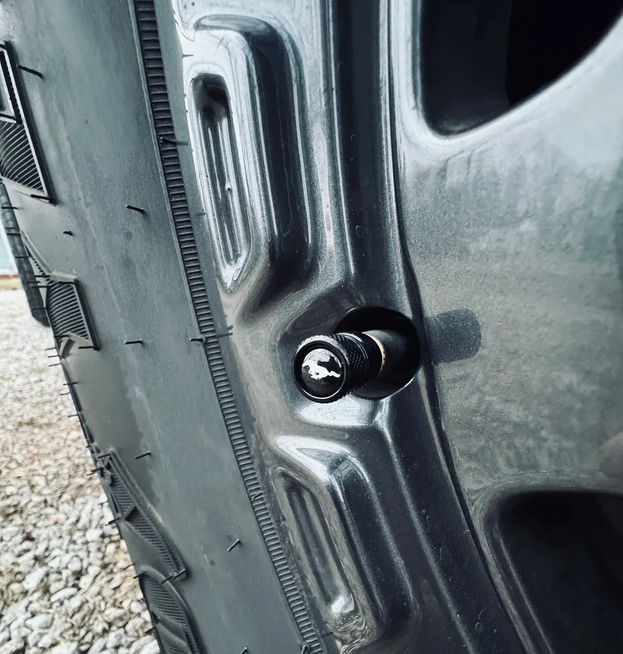 Ford Bronco What did you do TO / WITH your Bronco today? 👨🏻‍🔧🧰🚿🛠 thumbnail_IMG_2987
