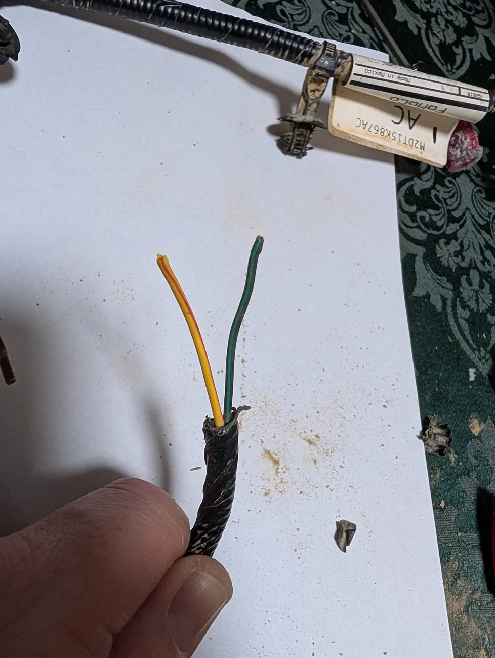 Ford Bronco OEM fog light wiring question PXL_20260107_042229648
