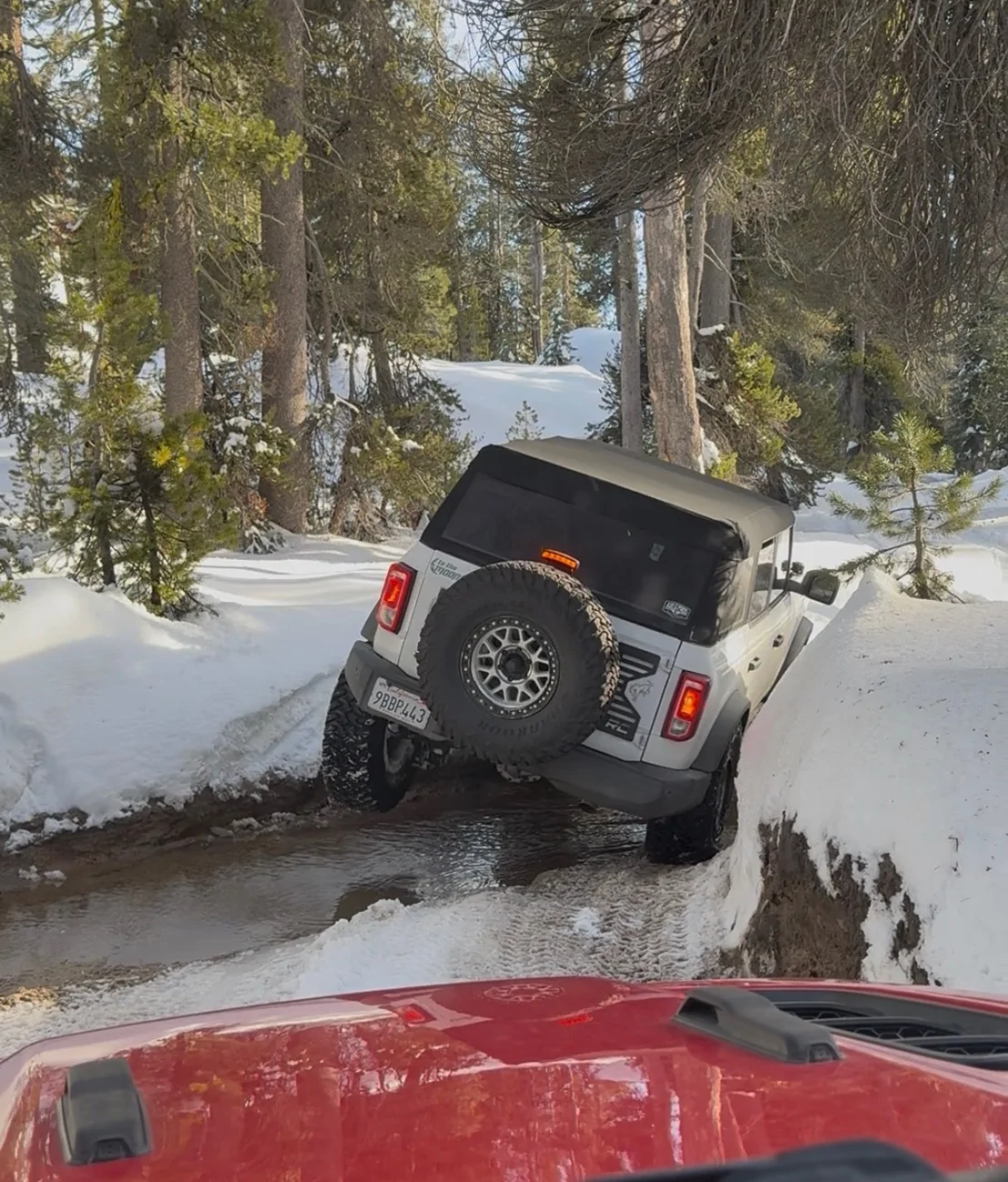 Ford Bronco Adventures of Yeti (Big Bend Build) IMG_8506