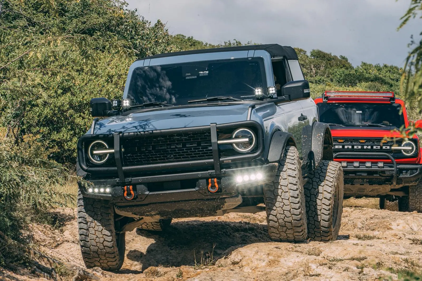 Ford Bronco Scenic trail - Puerto Rico 1768323626241-b3