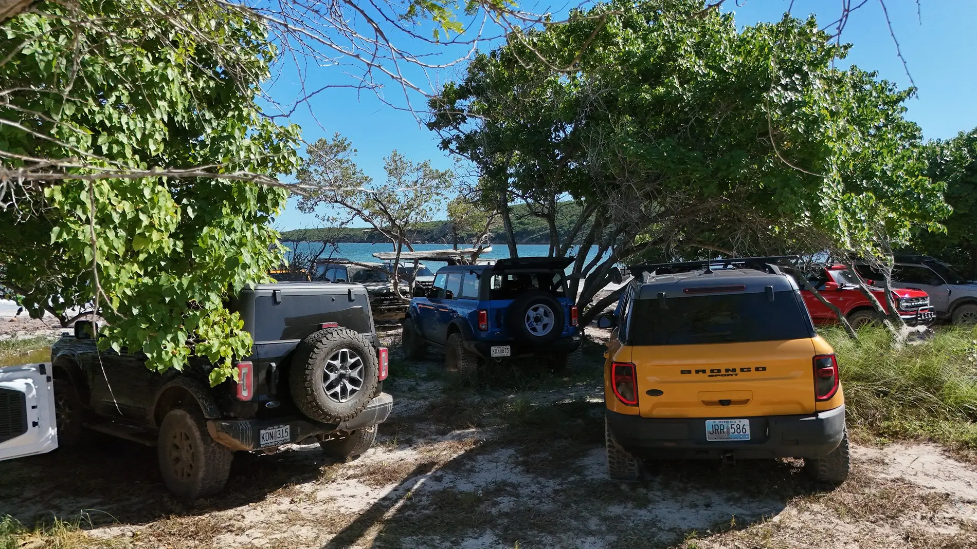 Ford Bronco Scenic trail - Puerto Rico 1768324082045-m3