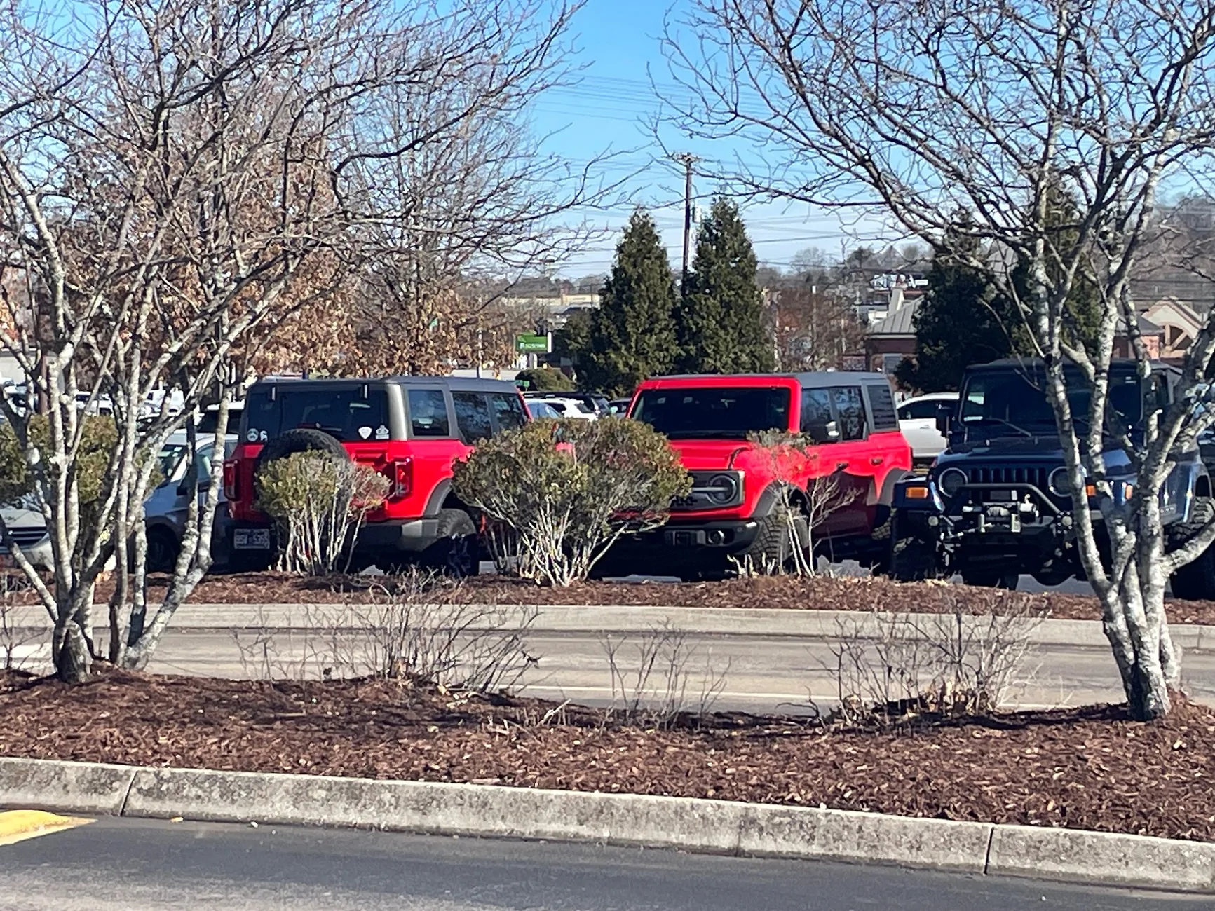 Ford Bronco Random Bronco Photos of the Day Thread! 📸 🤳 IMG_2894