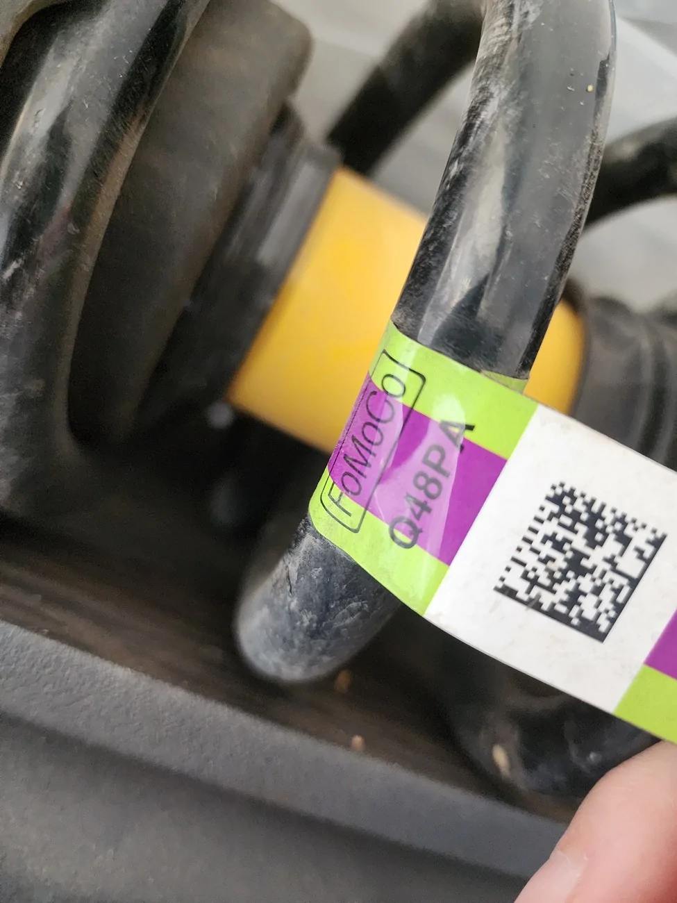 Ford Bronco Sasquatch Struts? 1000010338